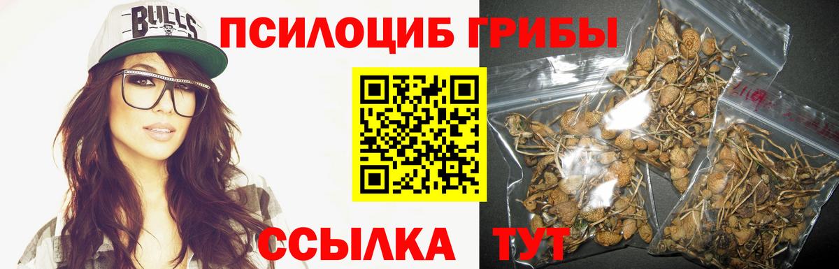Галлюциногенные грибы GOLDEN TEACHER  Вход с VPN  Сальск 