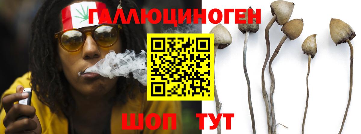 Псилоцибиновые грибы MAGIC MUSHROOMS Сальск